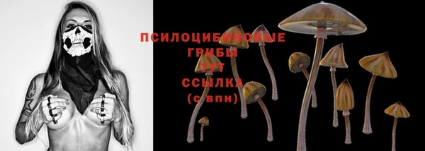 таблы Верхний Тагил