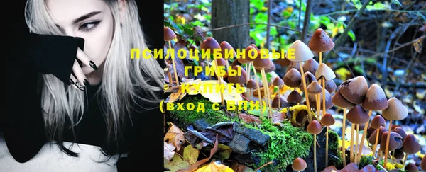 кристаллы Покачи